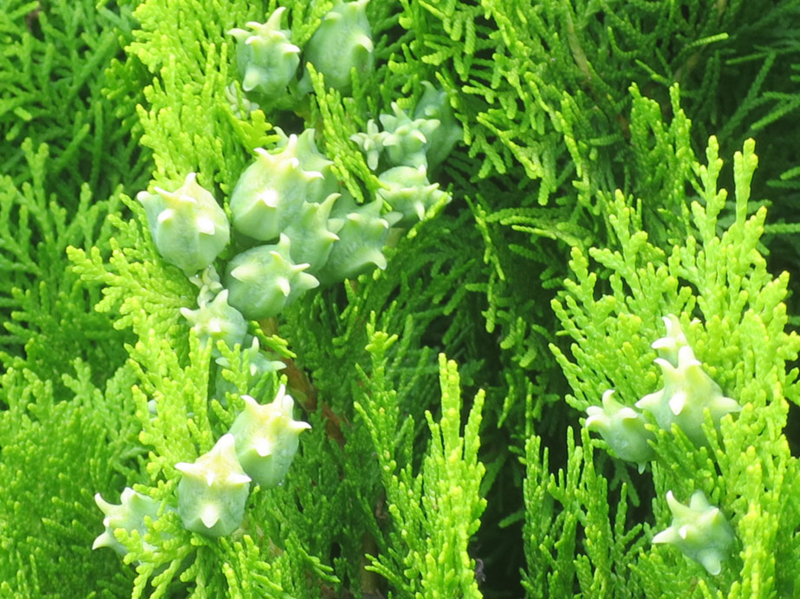 f:id:atarou:20160728064344j:image f:id:atarou:20160728064344j:image