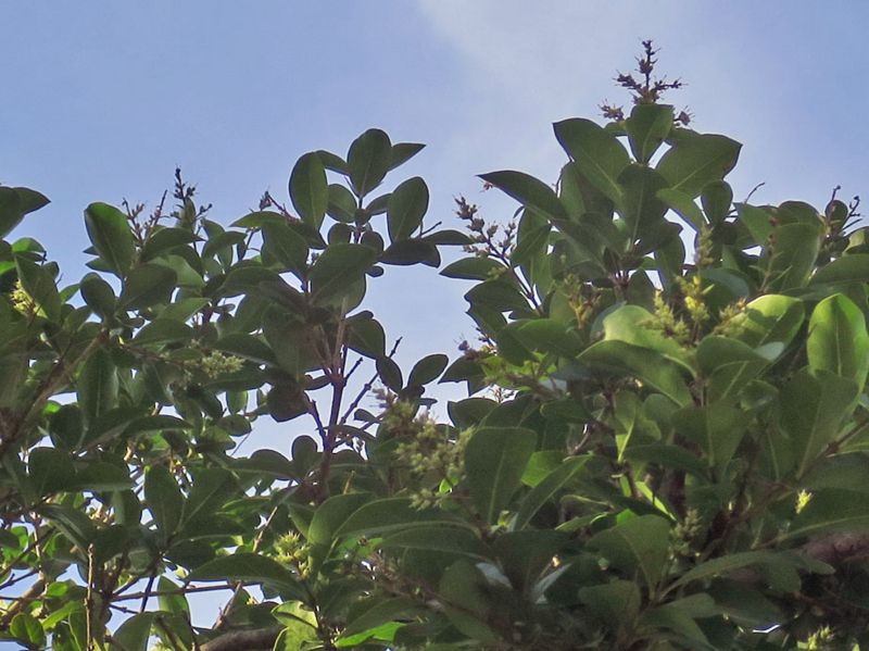 f:id:atarou:20160803072601j:image f:id:atarou:20160803072601j:image