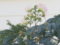 20160814065614