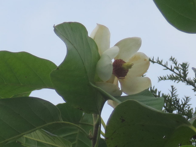 f:id:atarou:20160915072447j:image