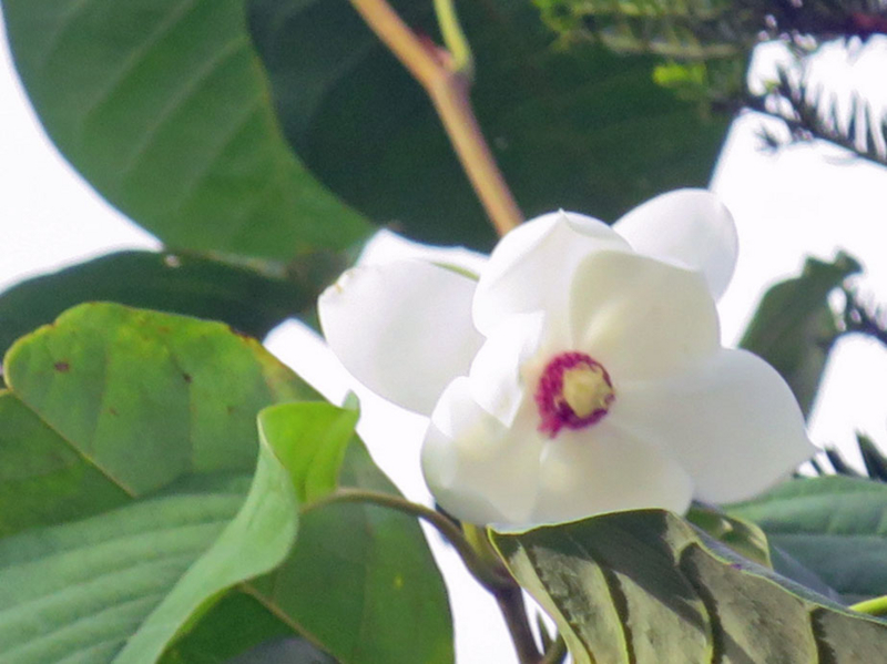 f:id:atarou:20160915072744j:image