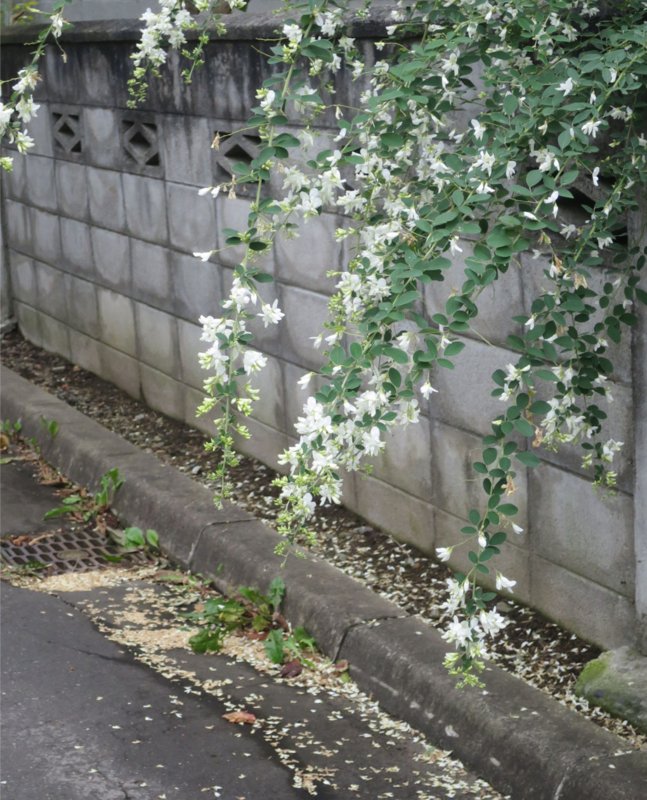 f:id:atarou:20160919065008j:image