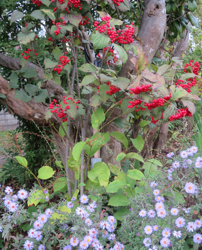f:id:atarou:20160919070539j:image