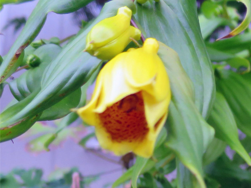 f:id:atarou:20160923063347j:image