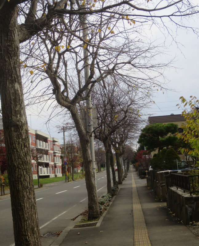 f:id:atarou:20161102062012j:image