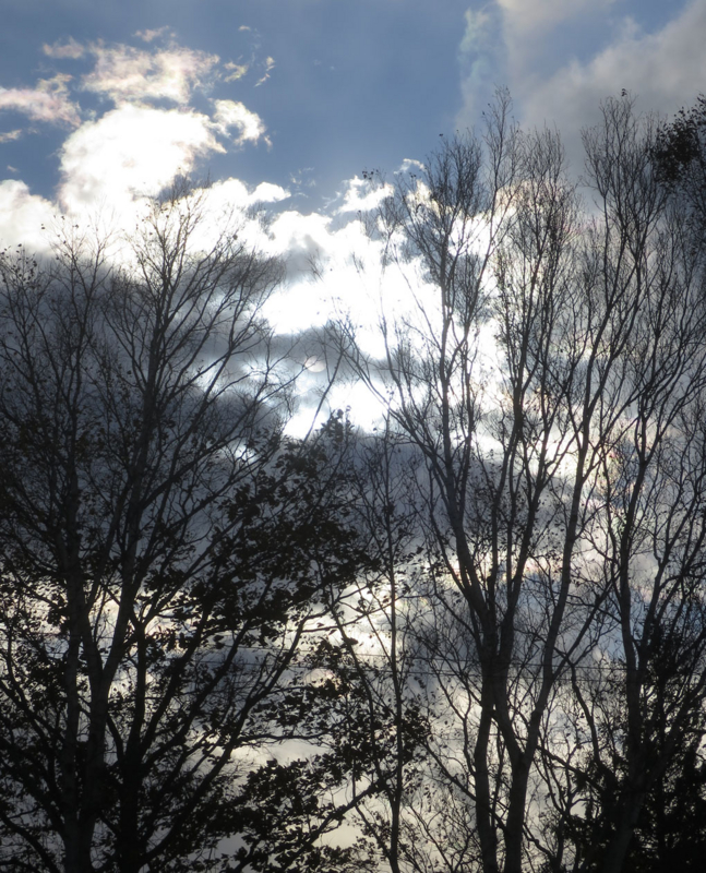 f:id:atarou:20161110062131j:image