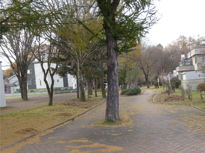 f:id:atarou:20161115071032j:image
