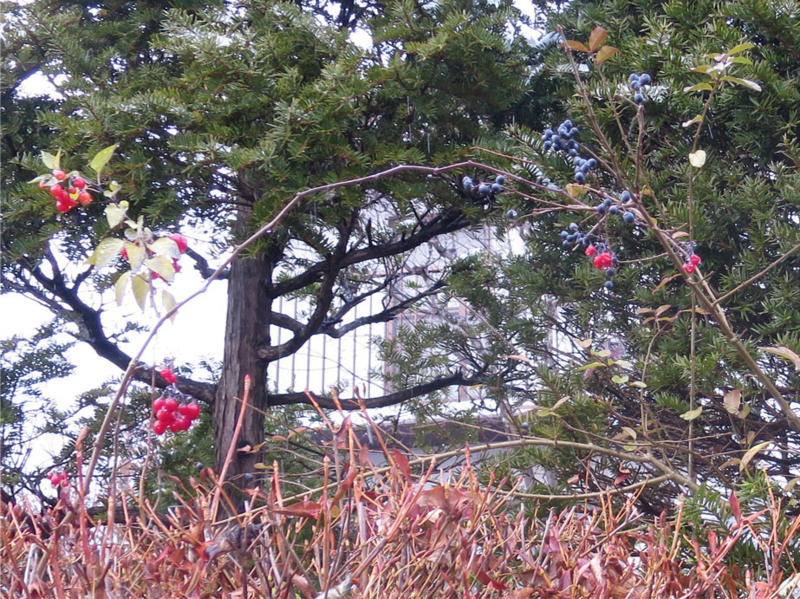f:id:atarou:20161123070743j:image