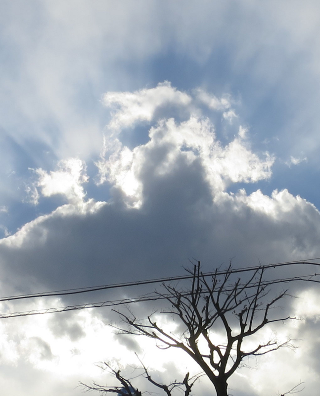 f:id:atarou:20161124065314j:image