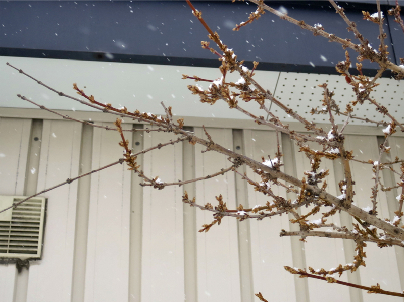 f:id:atarou:20170125065645j:image