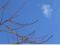 20170306064938