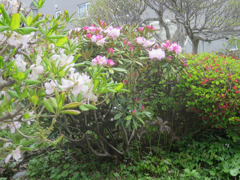 f:id:atarou:20170517063650j:image