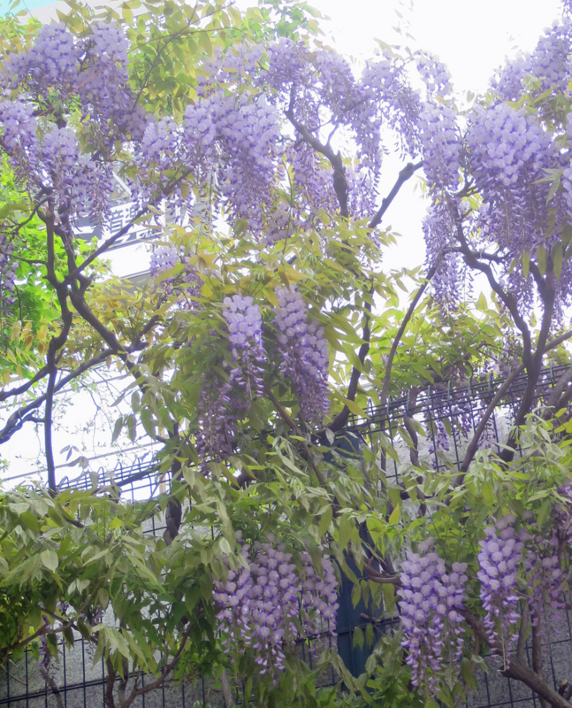 f:id:atarou:20170526063742j:image