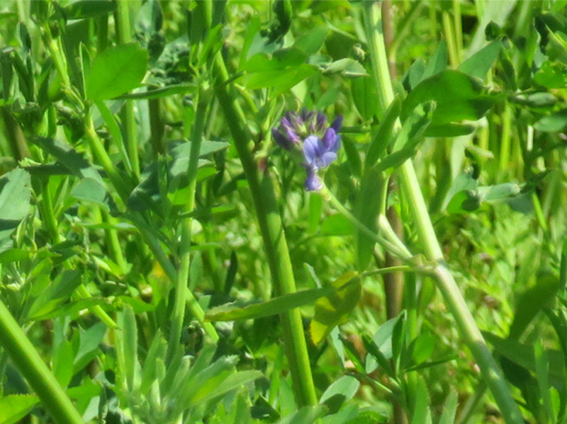 f:id:atarou:20170618065723j:image f:id:atarou:20170618065723j:image