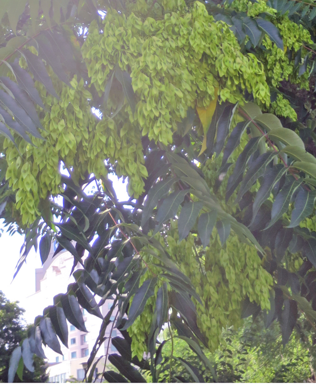 f:id:atarou:20170804063517j:image f:id:atarou:20170804063517j:image