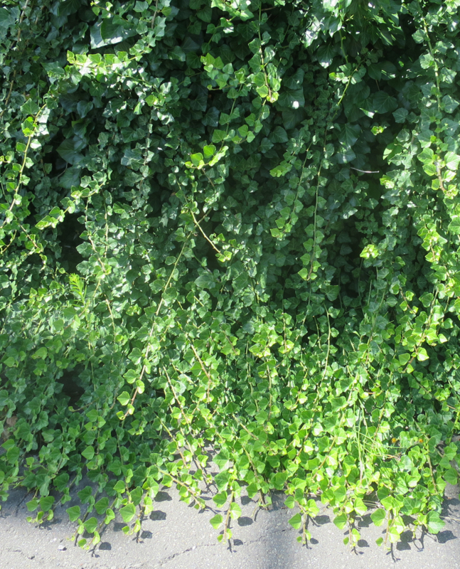 f:id:atarou:20170807063638j:image