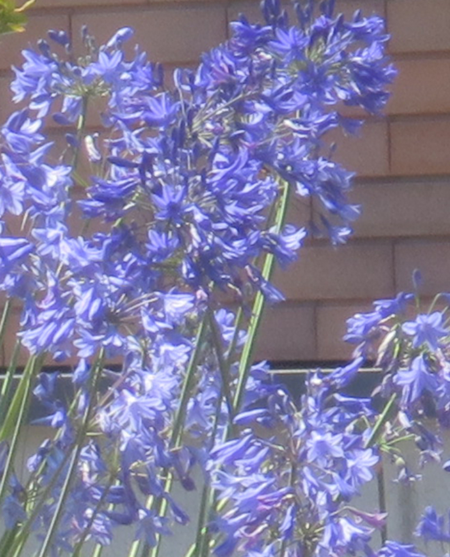f:id:atarou:20170808062244j:image