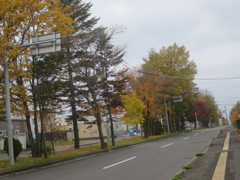 f:id:atarou:20171023064657j:image