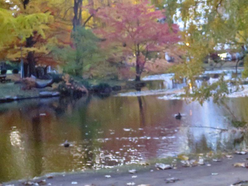 f:id:atarou:20171027065136j:image