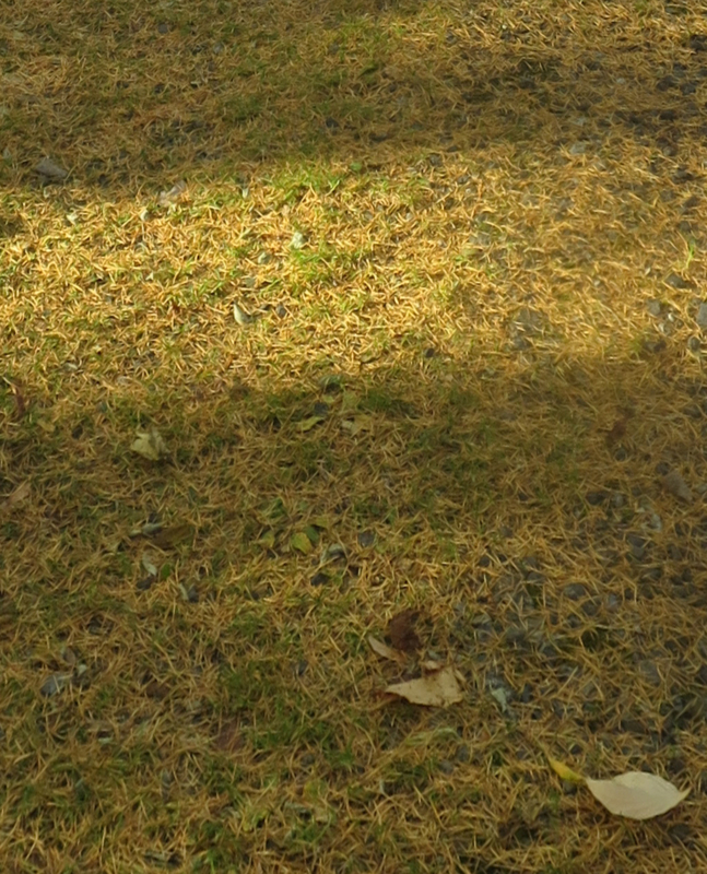 f:id:atarou:20171101065312j:image