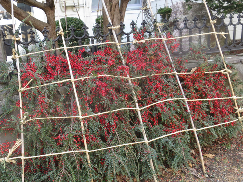 f:id:atarou:20171104065204j:image
