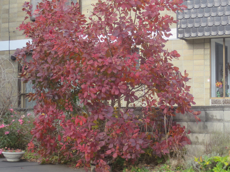 f:id:atarou:20171106065651j:image f:id:atarou:20171106065651j:image