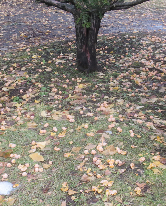 f:id:atarou:20171124065247j:image