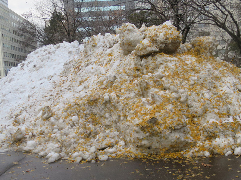 f:id:atarou:20171124065251j:image