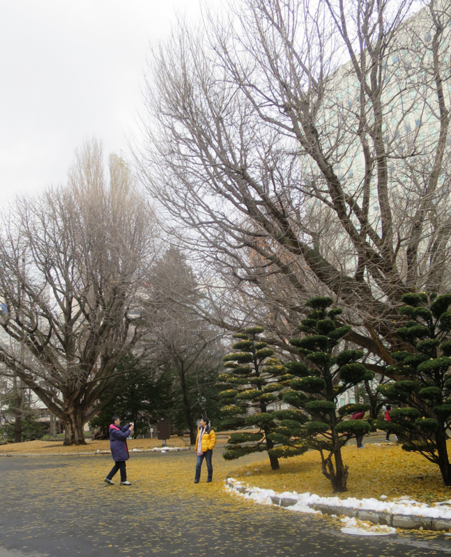 f:id:atarou:20171124065255j:image