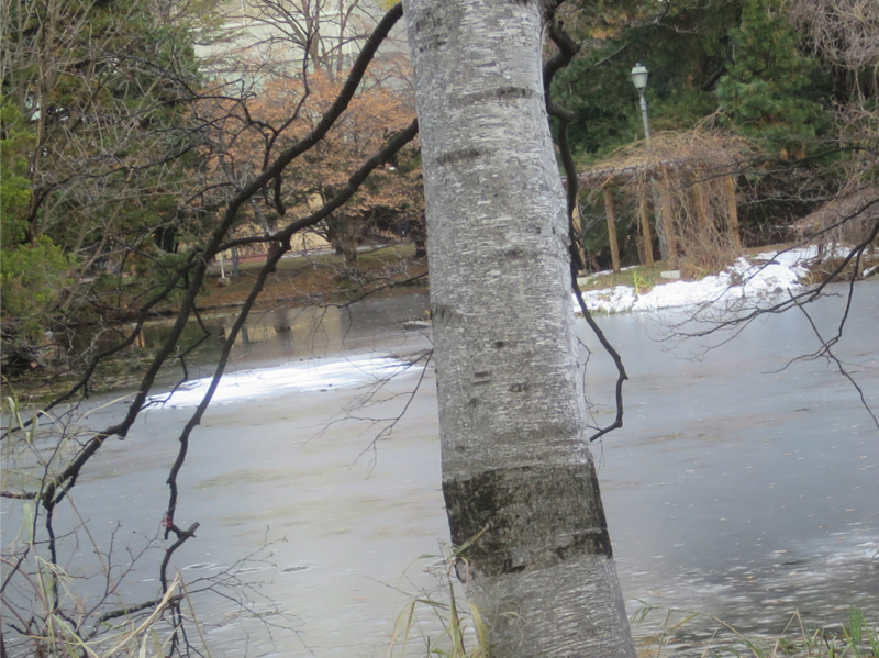 f:id:atarou:20171124065303j:image