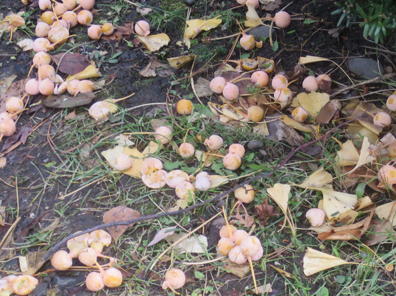 f:id:atarou:20171124065611j:image