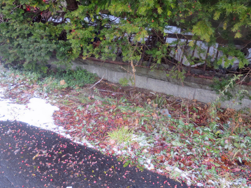f:id:atarou:20171125065533j:image