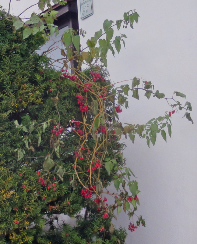 f:id:atarou:20171127071155j:image