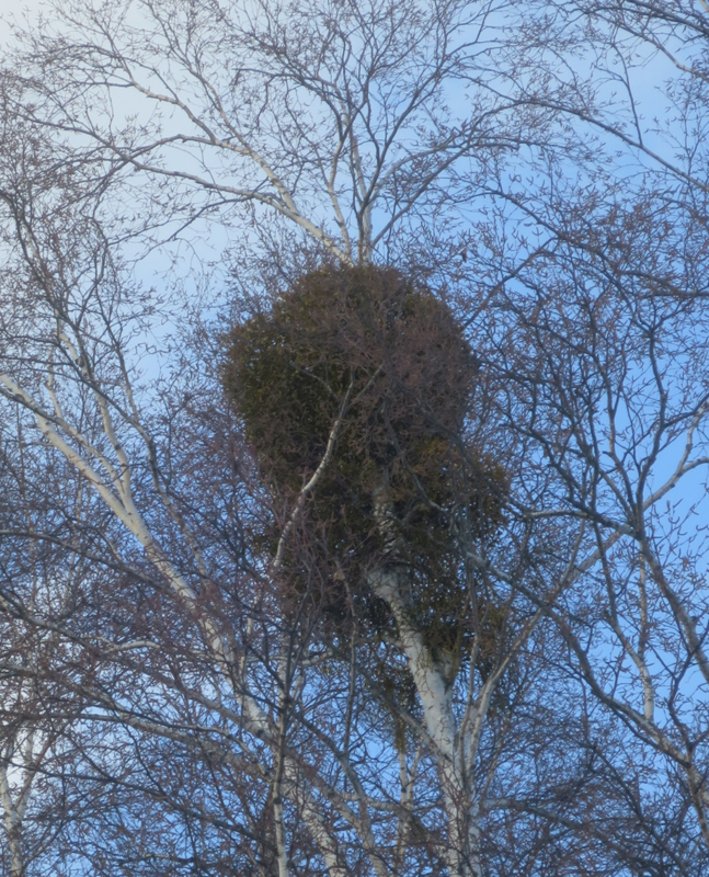 f:id:atarou:20180109160733j:image