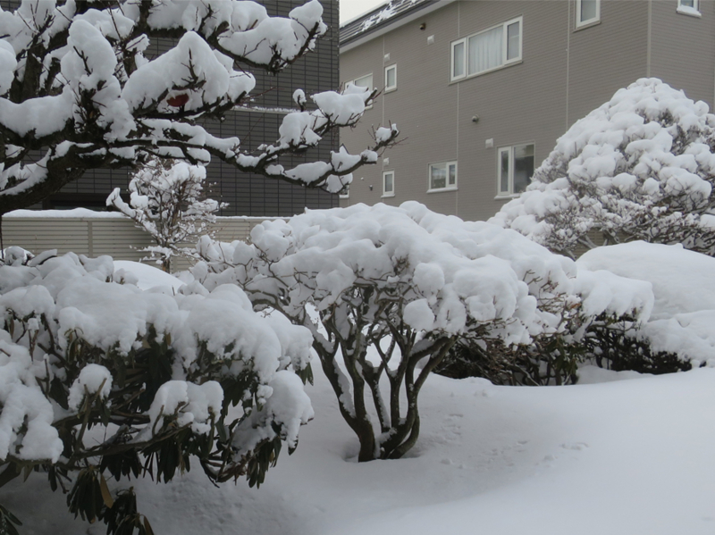 f:id:atarou:20180120212127j:image