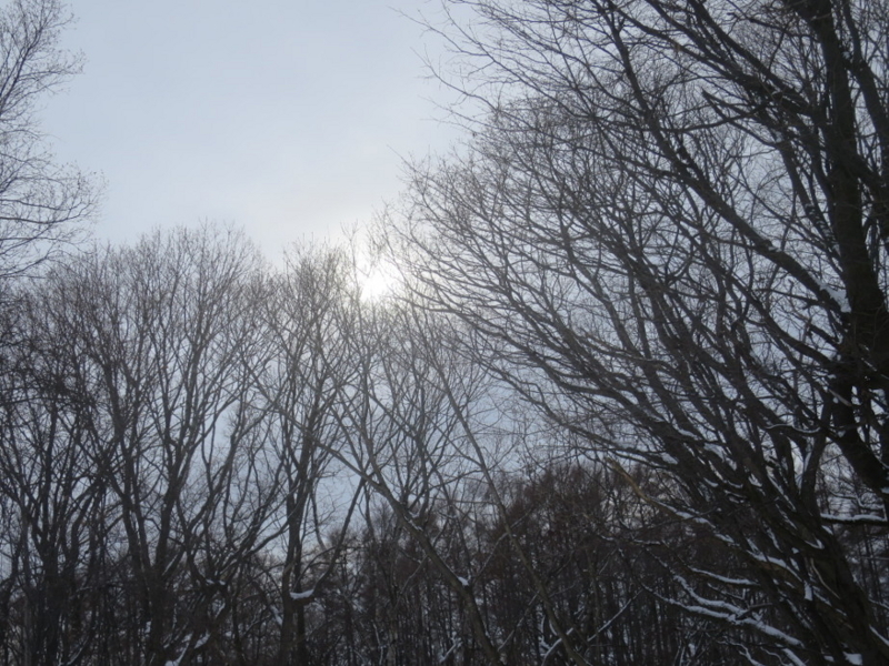 f:id:atarou:20180205064403j:image