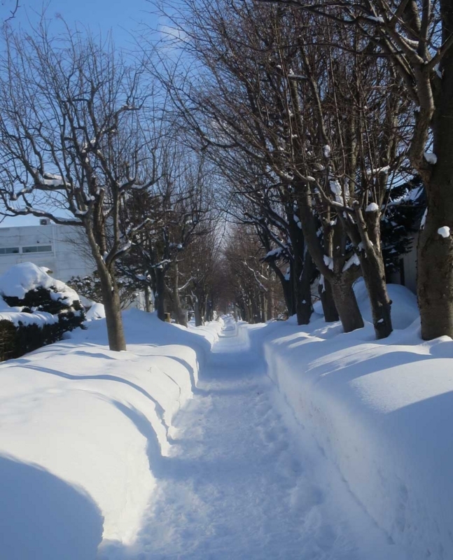 f:id:atarou:20180218065255j:image