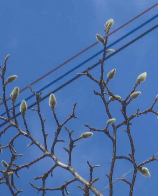 f:id:atarou:20180226062430j:image
