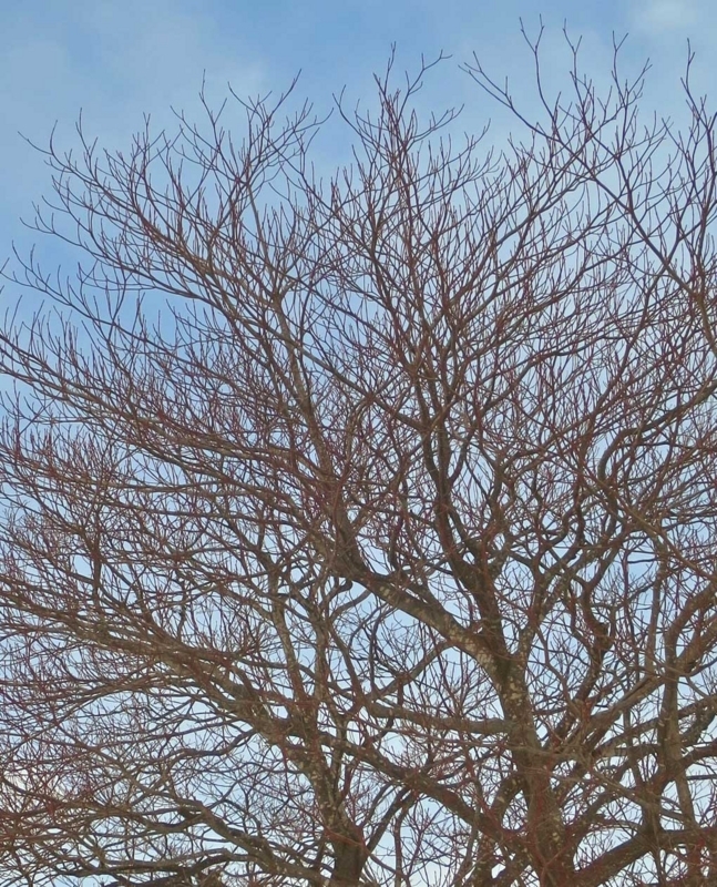 f:id:atarou:20180227064435j:image f:id:atarou:20180227064435j:image