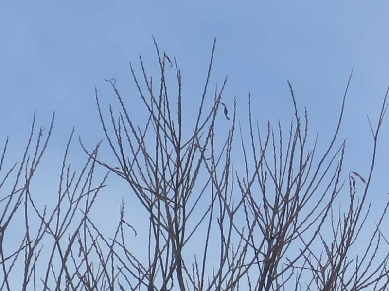 f:id:atarou:20180227064519j:image f:id:atarou:20180227064519j:image