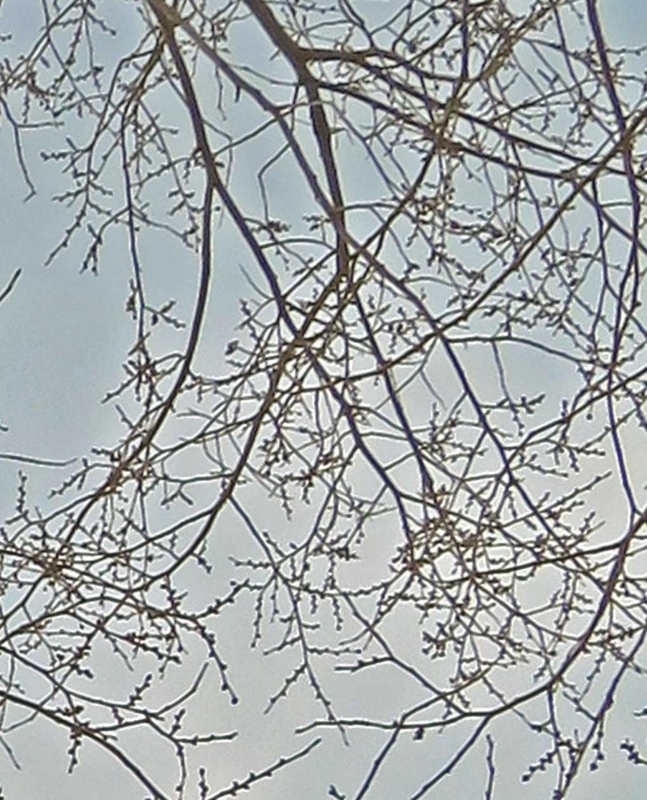 f:id:atarou:20180409070109j:image