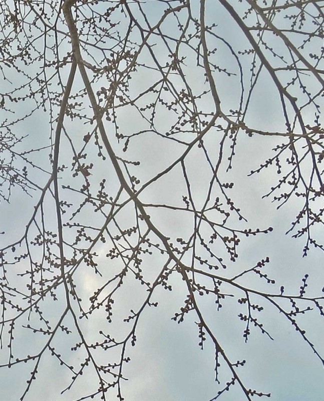 f:id:atarou:20180409070113j:image