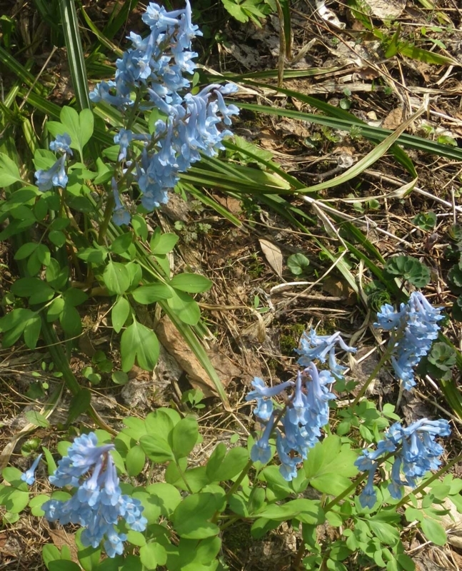 f:id:atarou:20180422064615j:image f:id:atarou:20180422064615j:image