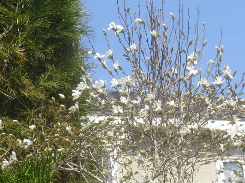 f:id:atarou:20180422071009j:image f:id:atarou:20180422071009j:image