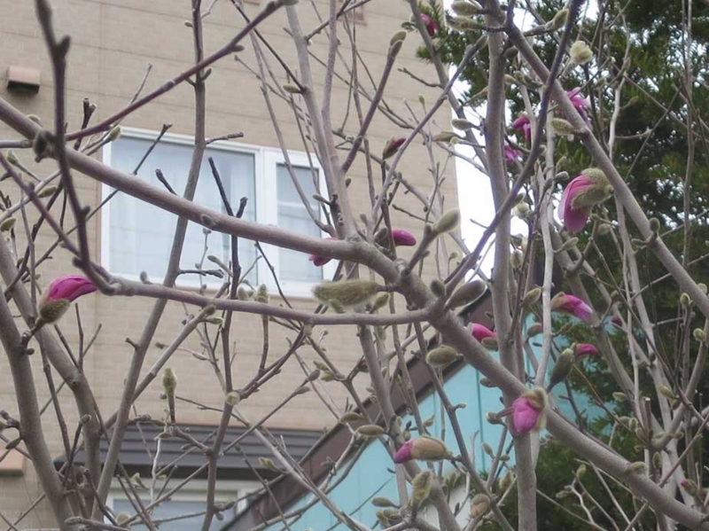 f:id:atarou:20180426063836j:image