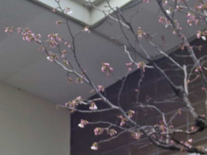 f:id:atarou:20180428070331j:image
