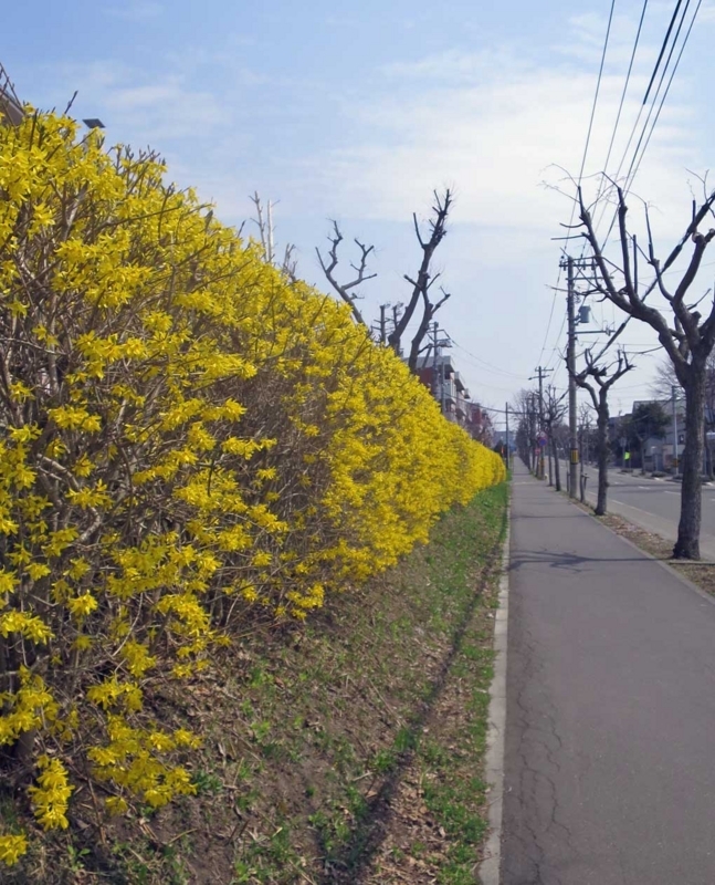 f:id:atarou:20180430063925j:image