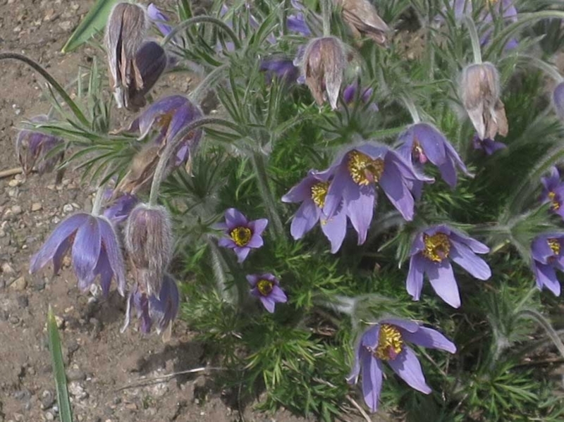 f:id:atarou:20180502060409j:image f:id:atarou:20180502060409j:image