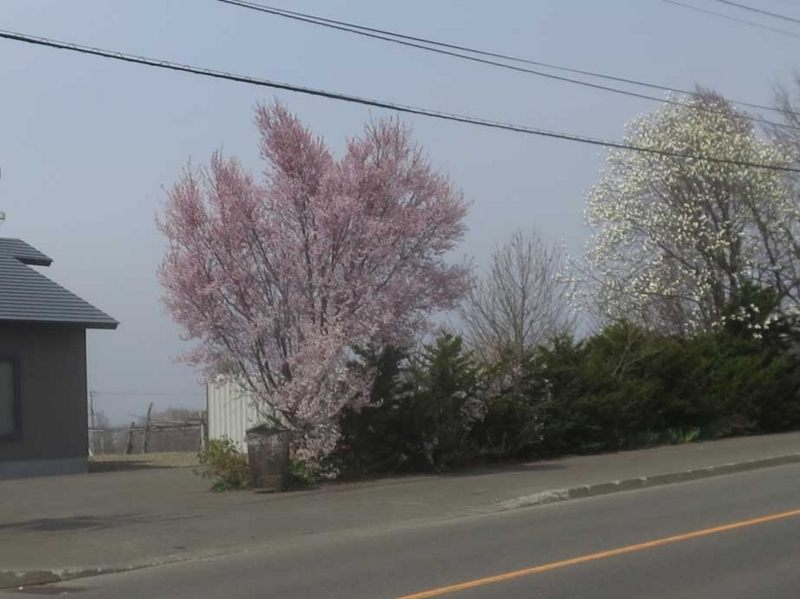 f:id:atarou:20180502061304j:image f:id:atarou:20180502061304j:image