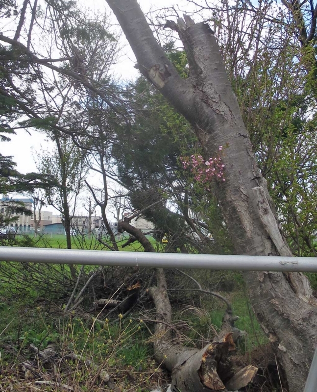 f:id:atarou:20180505064305j:image